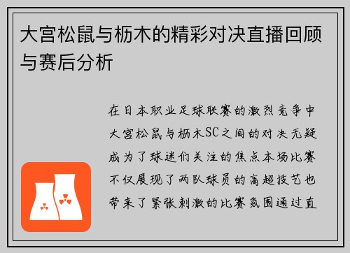 大宫松鼠与枥木的精彩对决直播回顾与赛后分析